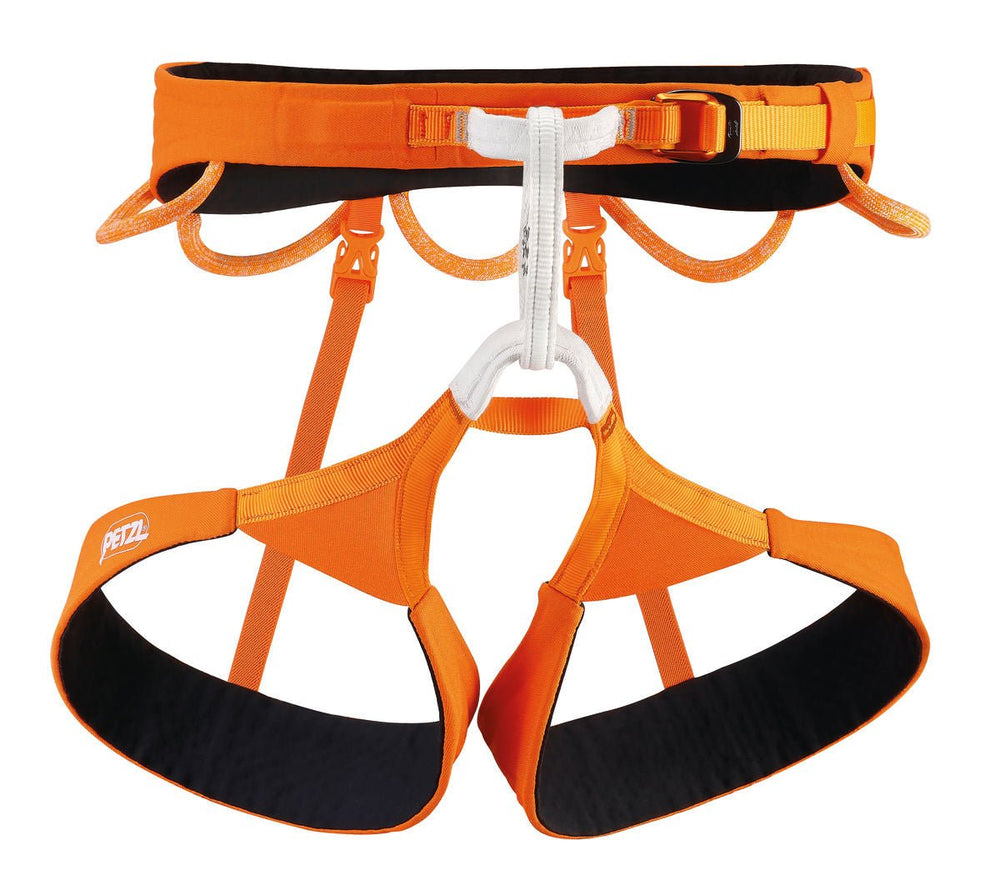 Hirundos Harness - Orange - Blogside